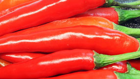 一秒发1000条电话的软件