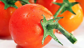 电话验证码轰炸免费